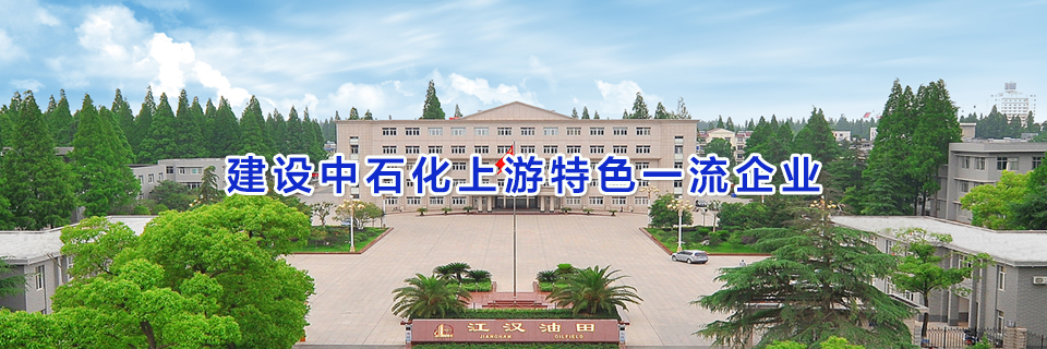 建设中石化上游特色一流企业