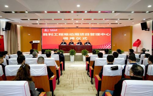 胜利工程难动用项目管理中心落户..